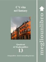 copertina fantasy Q13.JPG